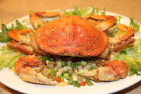 crab